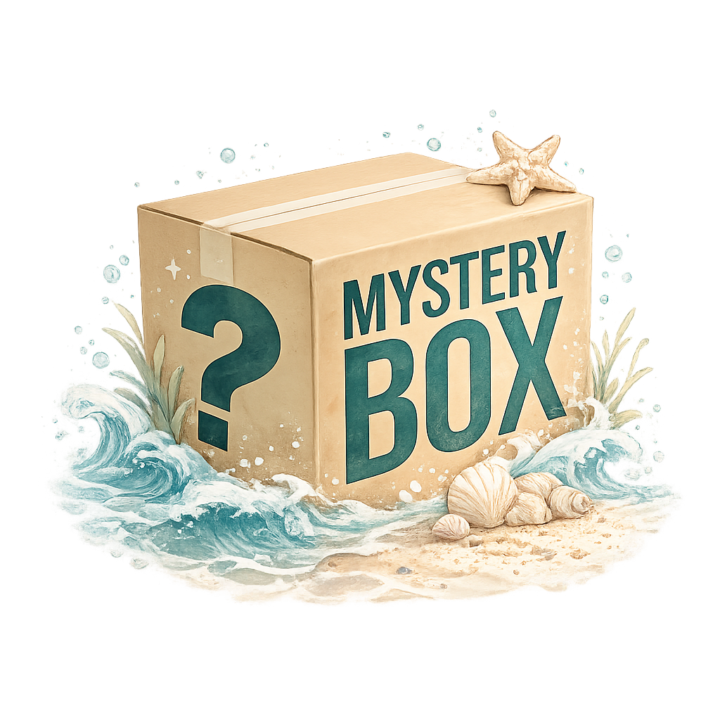 Lily's Mystery Box